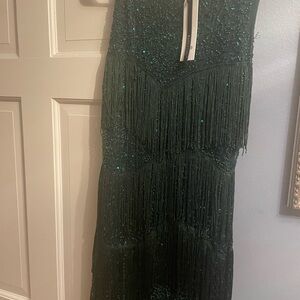 Elegant Green Fringe Dress roaring 20s nwt! Fringe sparkles speakeasy costume